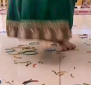 Dipika Kakar feet photo 15