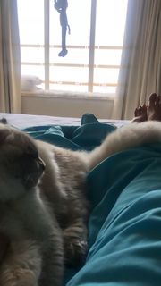 Disha Patani feet photo thumbnail