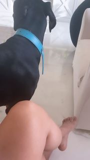 Disha Patani feet photo thumbnail