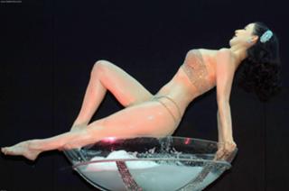 Dita Von Teese feet photo thumbnail