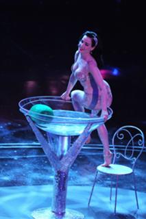 Dita Von Teese feet photo thumbnail