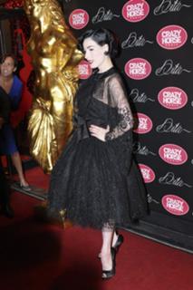 Dita Von Teese feet photo thumbnail