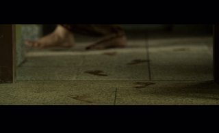 Divya Pillai feet photo 6