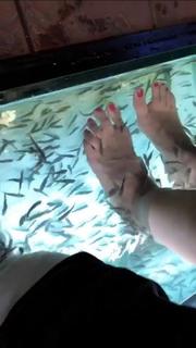 Divyanka Tripathi feet photo thumbnail