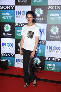 Divyanka Tripathi feet photo thumbnail