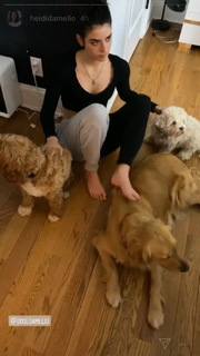 Dixie D'Amelio feet photo thumbnail