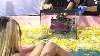 Dixie D'Amelio feet photo thumbnail