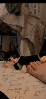 Dodie Clark feet photo thumbnail