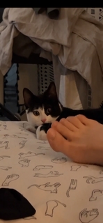 Dodie Clark feet photo thumbnail