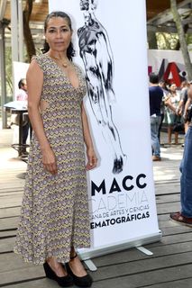 Dolores Heredia feet photo 8