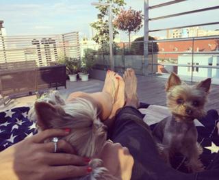 Dominika Cibulková feet photo thumbnail