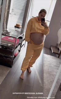 Dominika Cibulková feet photo thumbnail