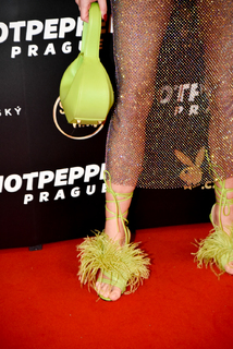 Dominika Mesarosová feet photo 18
