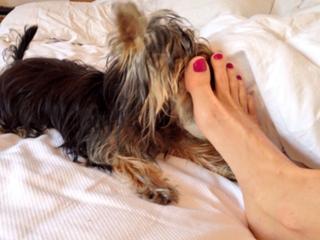 Dominika Paleta feet photo thumbnail