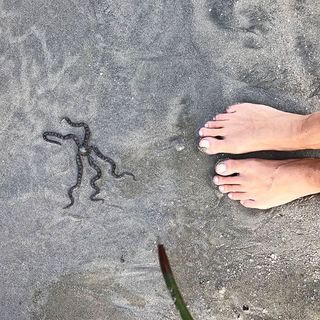 Dominika Paleta feet photo thumbnail