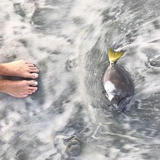 Dominika Paleta feet photo thumbnail