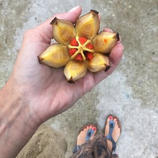 Dominika Paleta feet photo thumbnail