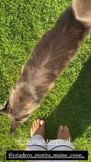 Dominika Paleta feet photo thumbnail