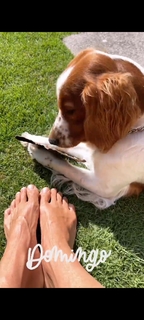 Dominika Paleta feet photo thumbnail