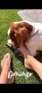 Dominika Paleta feet photo thumbnail