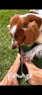 Dominika Paleta feet photo thumbnail