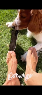 Dominika Paleta feet photo thumbnail