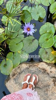 Dominika Paleta feet photo thumbnail