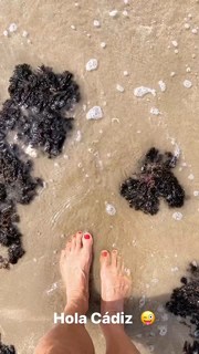 Dominika Paleta feet photo thumbnail