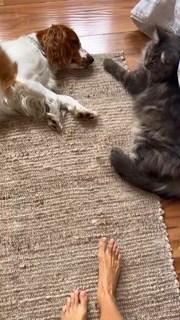 Dominika Paleta feet photo thumbnail