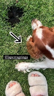 Dominika Paleta feet photo thumbnail