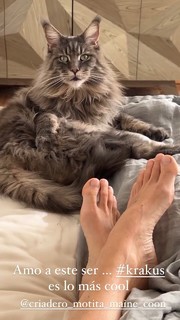 Dominika Paleta feet photo thumbnail
