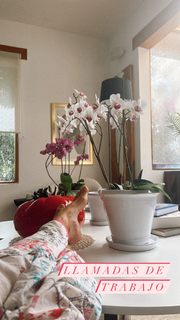 Dominika Paleta feet photo thumbnail