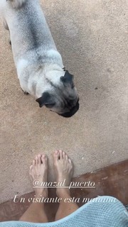 Dominika Paleta feet photo thumbnail