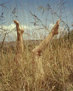 Dominique van Hulst feet photo 4