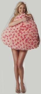 Dominique van Hulst feet photo 9