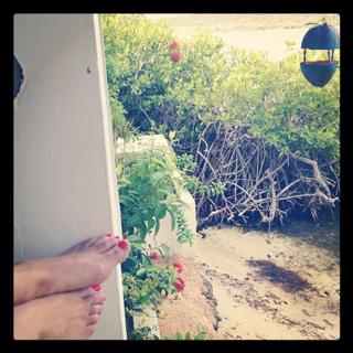 Dominique van Hulst feet photo 9