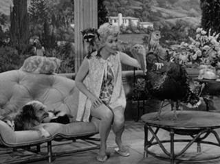 Donna Douglas feet photo 16
