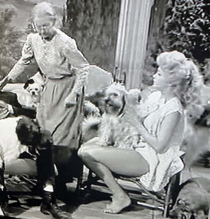 Donna Douglas feet photo 8