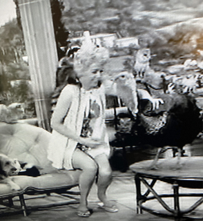 Donna Douglas feet photo 6