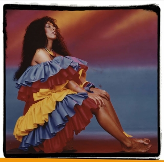 Donna Summer feet photo 12