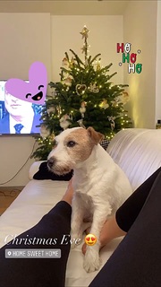 Donna Vekic feet photo thumbnail