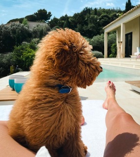 Donna Vekic feet photo thumbnail