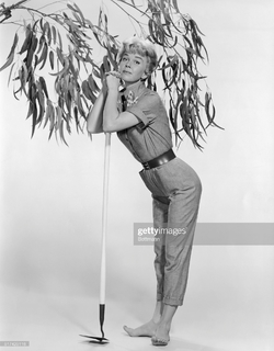 Doris Day feet photo thumbnail