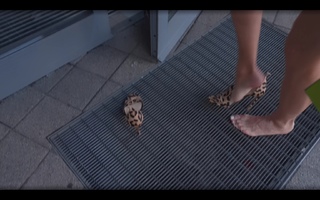 Dorota Rabczewska feet photo thumbnail