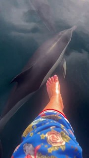 Dorota Szelagowska feet photo 15