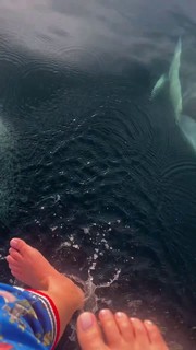 Dorota Szelagowska feet photo 13