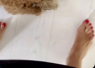 Dorota Szelagowska feet photo 3
