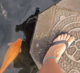 Dorota Szelagowska feet photo 10