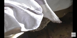 Dorra Zarrouk feet photo thumbnail