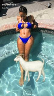 Draya Michele feet photo thumbnail